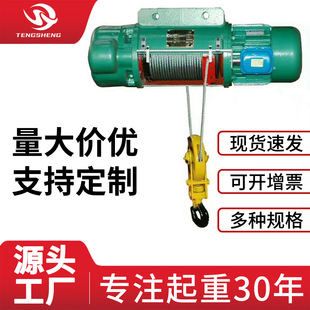 钢丝绳电动葫芦